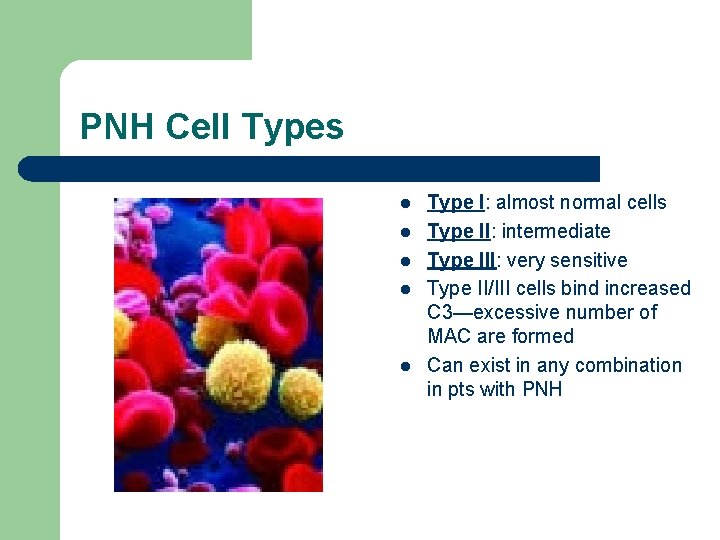 PNH Cell Types l l l Type I: almost normal cells Type II: intermediate