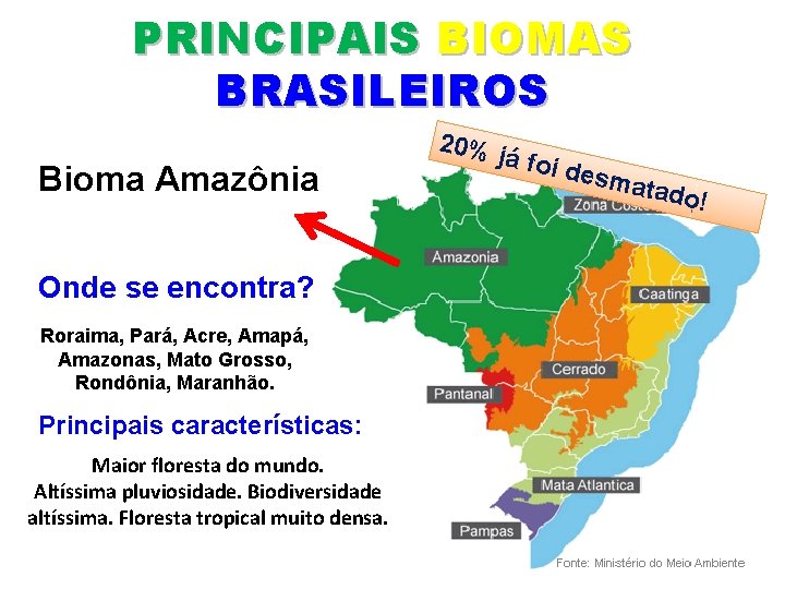 PRINCIPAIS BIOMAS BRASILEIROS Bioma Amazônia Onde se encontra? Roraima, Pará, Acre, Amapá, Amazonas, Mato