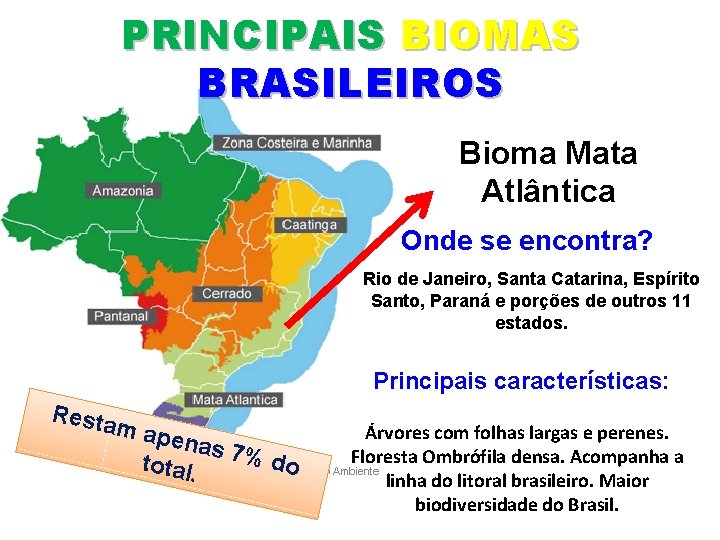 PRINCIPAIS BIOMAS BRASILEIROS Bioma Mata Atlântica Onde se encontra? Rio de Janeiro, Santa Catarina,