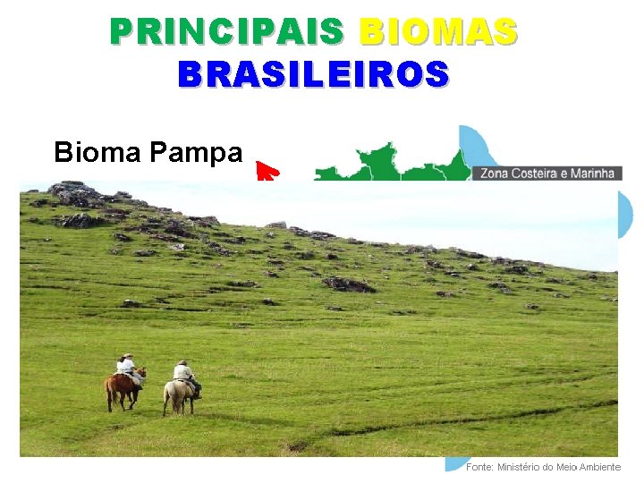 PRINCIPAIS BIOMAS BRASILEIROS Bioma Pampa Onde se encontra? Rio Grande do Sul Principais características: