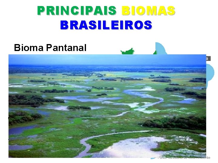 PRINCIPAIS BIOMAS BRASILEIROS Bioma Pantanal Onde se encontra? Mato Grosso e Mato Grosso do