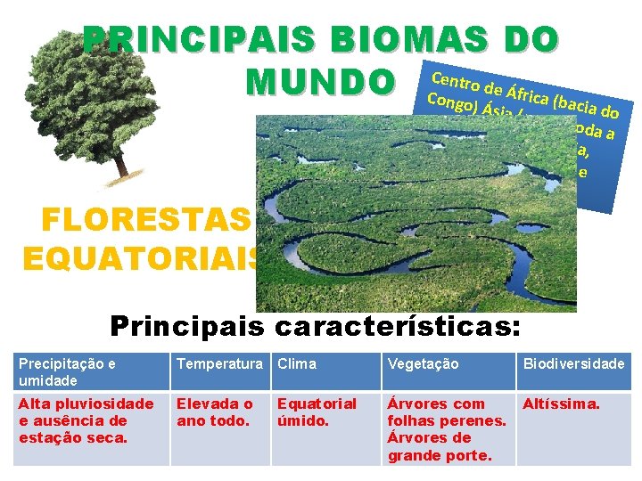 PRINCIPAIS BIOMAS DO Centro MUNDO Congo) de África (baci a Á d sia (qu