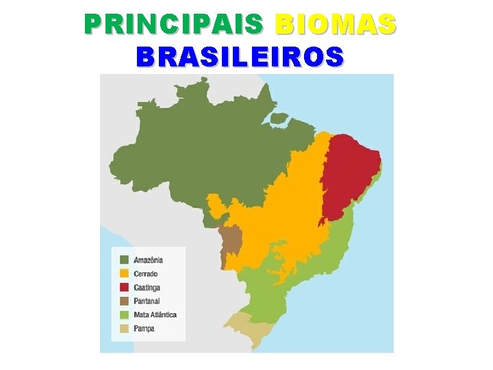 PRINCIPAIS BIOMAS BRASILEIROS 