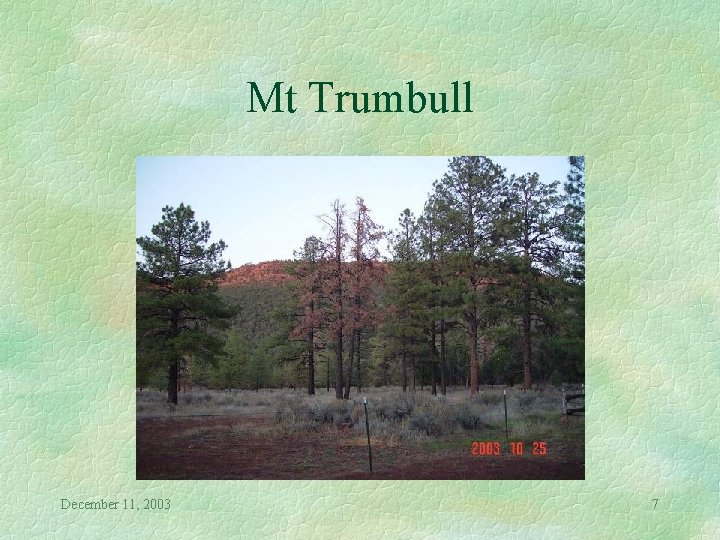 Mt Trumbull December 11, 2003 7 