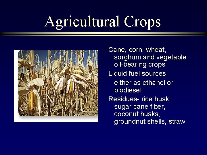 Agricultural Crops Cane, corn, wheat, sorghum and vegetable oil-bearing crops Liquid fuel sources either