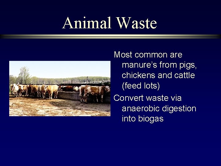 Animal Waste Most common are manure’s from pigs, chickens and cattle (feed lots) Convert