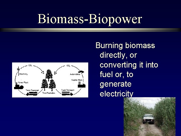 Biomass-Biopower Burning biomass directly, or converting it into fuel or, to generate electricity 