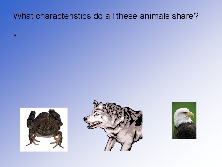 What characteristics do all these animals share? * 