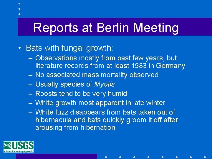 Reports at Berlin Meeting • Bats with fungal growth: – Observations mostly from past