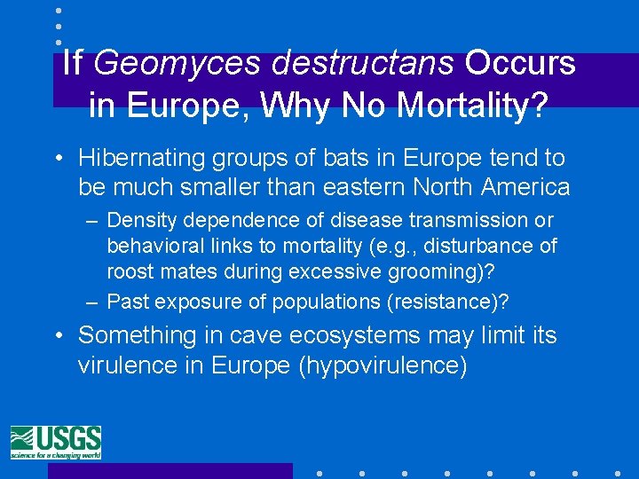 If Geomyces destructans Occurs in Europe, Why No Mortality? • Hibernating groups of bats