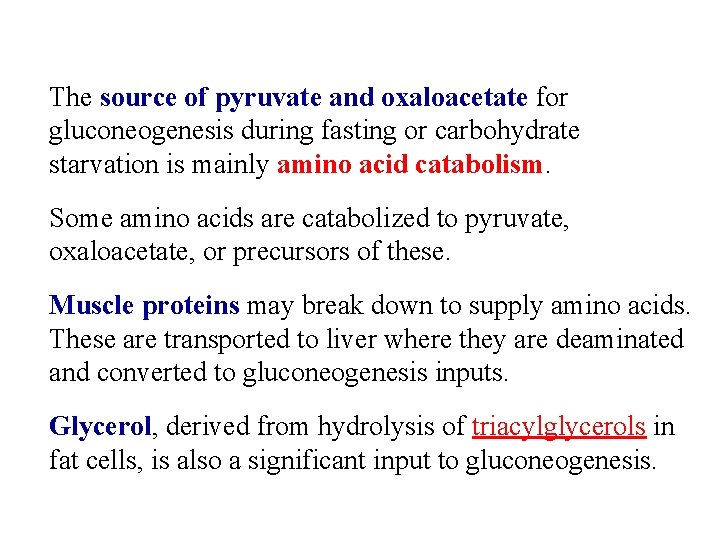 The source of pyruvate and oxaloacetate for gluconeogenesis during fasting or carbohydrate starvation is