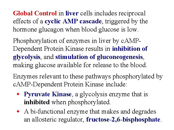 Global Control in liver cells includes reciprocal effects of a cyclic AMP cascade, triggered