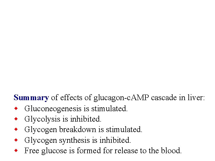 Summary of effects of glucagon-c. AMP cascade in liver: w Gluconeogenesis is stimulated. w