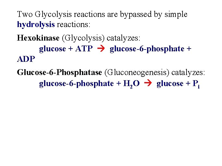 Two Glycolysis reactions are bypassed by simple hydrolysis reactions: Hexokinase (Glycolysis) catalyzes: glucose +