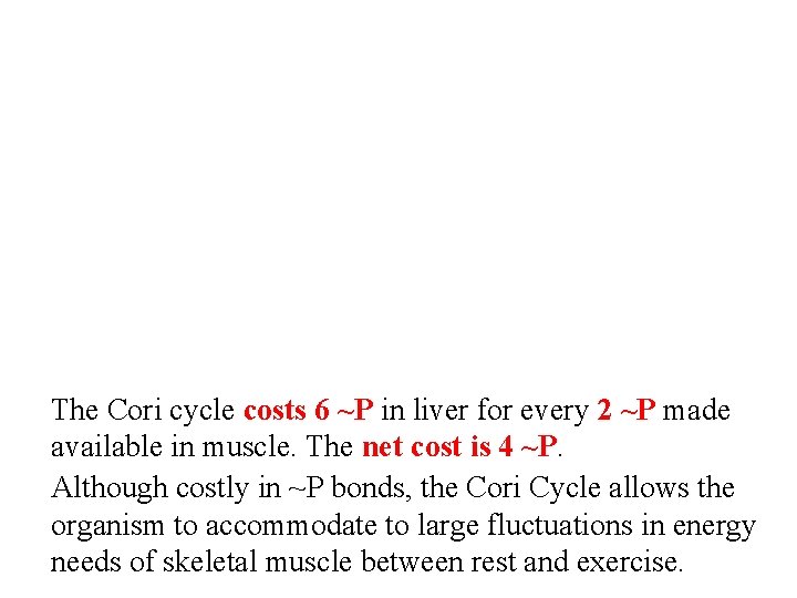 The Cori cycle costs 6 ~P in liver for every 2 ~P made available