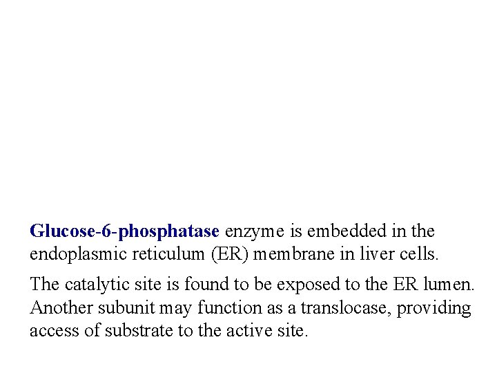 Glucose-6 -phosphatase enzyme is embedded in the endoplasmic reticulum (ER) membrane in liver cells.