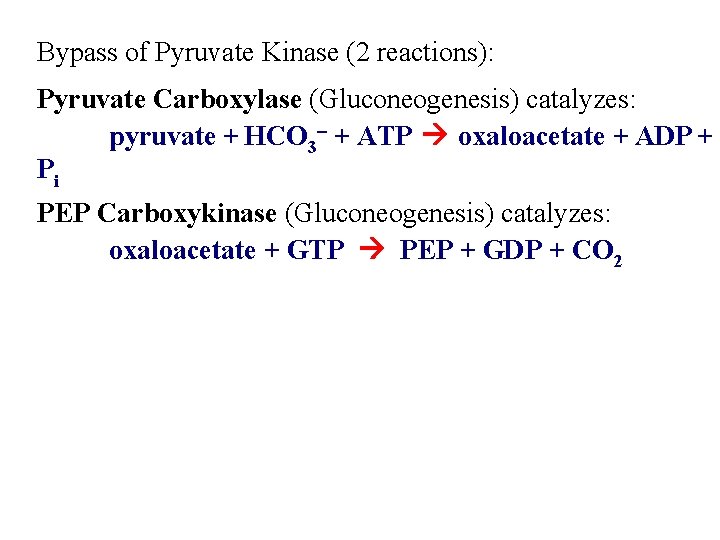 Bypass of Pyruvate Kinase (2 reactions): Pyruvate Carboxylase (Gluconeogenesis) catalyzes: pyruvate + HCO 3
