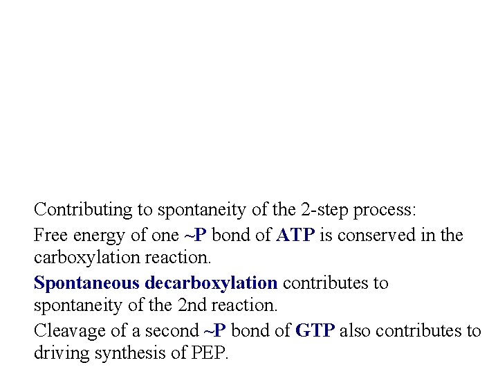 Contributing to spontaneity of the 2 -step process: Free energy of one ~P bond