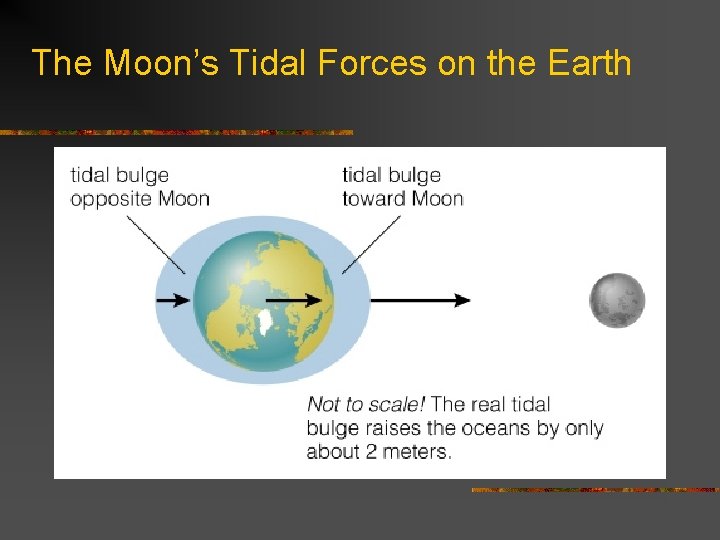 The Moon’s Tidal Forces on the Earth 