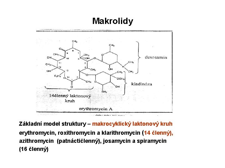 Makrolidy Základní model struktury – makrocyklický laktonový kruh erythromycin, roxithromycin a klarithromycin (14 členný),