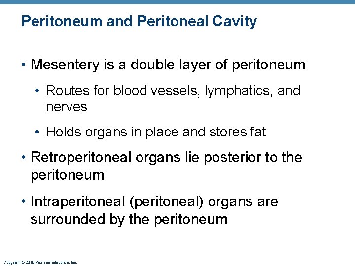 Peritoneum and Peritoneal Cavity • Mesentery is a double layer of peritoneum • Routes
