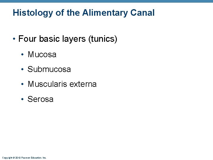 Histology of the Alimentary Canal • Four basic layers (tunics) • Mucosa • Submucosa