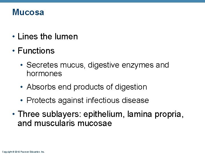 Mucosa • Lines the lumen • Functions • Secretes mucus, digestive enzymes and hormones