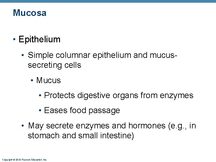 Mucosa • Epithelium • Simple columnar epithelium and mucussecreting cells • Mucus • Protects