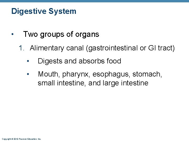 Digestive System • Two groups of organs 1. Alimentary canal (gastrointestinal or GI tract)