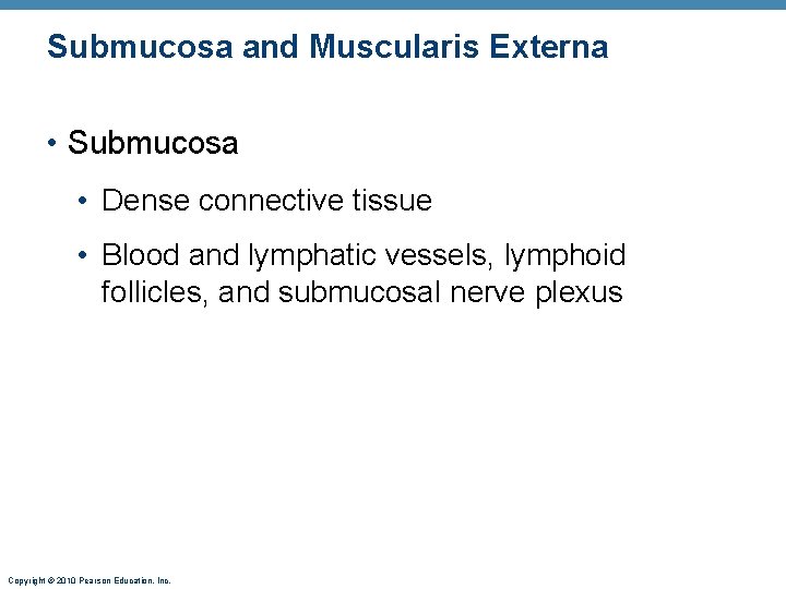 Submucosa and Muscularis Externa • Submucosa • Dense connective tissue • Blood and lymphatic