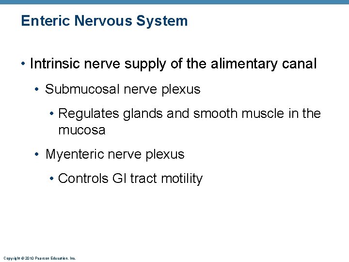 Enteric Nervous System • Intrinsic nerve supply of the alimentary canal • Submucosal nerve
