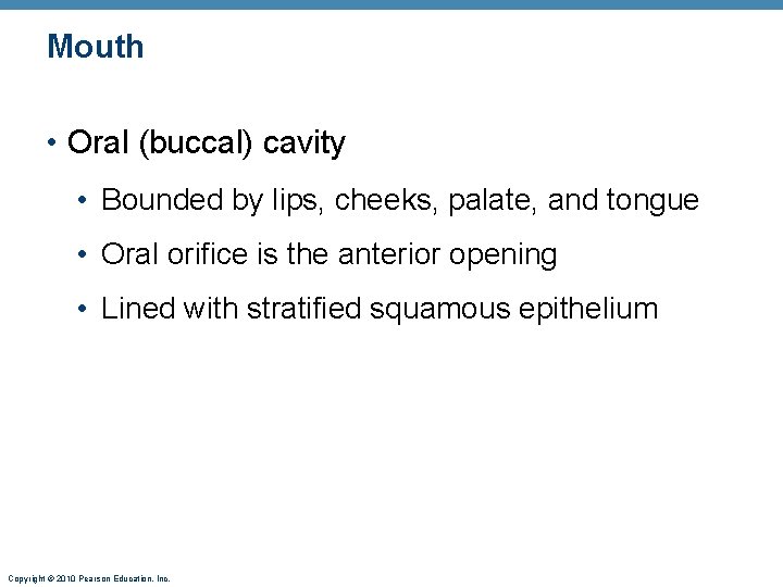 Mouth • Oral (buccal) cavity • Bounded by lips, cheeks, palate, and tongue •