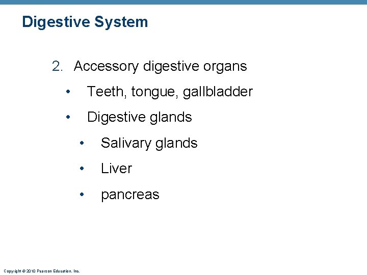 Digestive System 2. Accessory digestive organs • Teeth, tongue, gallbladder • Digestive glands •