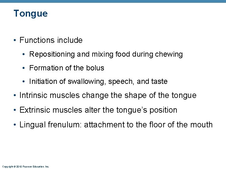 Tongue • Functions include • Repositioning and mixing food during chewing • Formation of