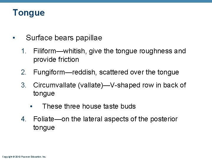 Tongue • Surface bears papillae 1. Filiform—whitish, give the tongue roughness and provide friction