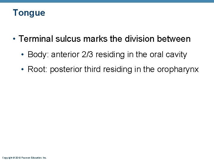 Tongue • Terminal sulcus marks the division between • Body: anterior 2/3 residing in
