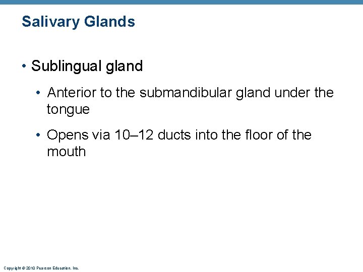 Salivary Glands • Sublingual gland • Anterior to the submandibular gland under the tongue