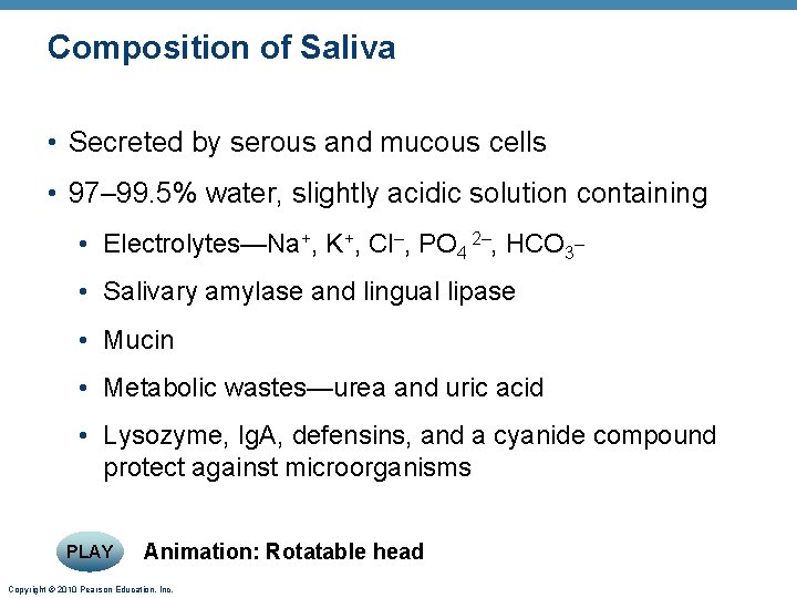 Composition of Saliva • Secreted by serous and mucous cells • 97– 99. 5%