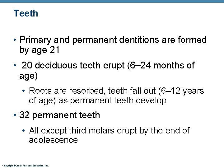 Teeth • Primary and permanent dentitions are formed by age 21 • 20 deciduous