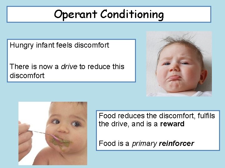 Operant Conditioning Hungry infant feels discomfort There is now a drive to reduce this