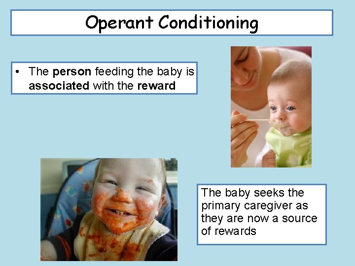 Operant Conditioning • The person feeding the baby is associated with the reward The