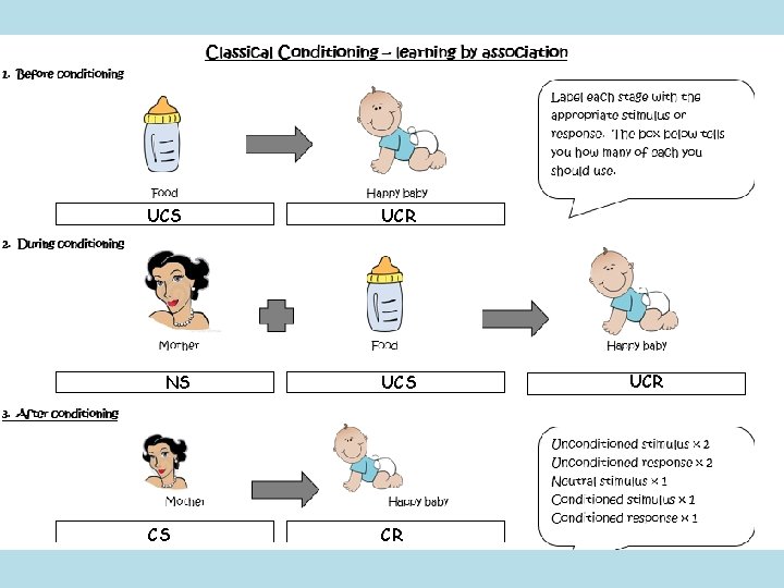 UCS NS CS UCR UCS CR UCR 