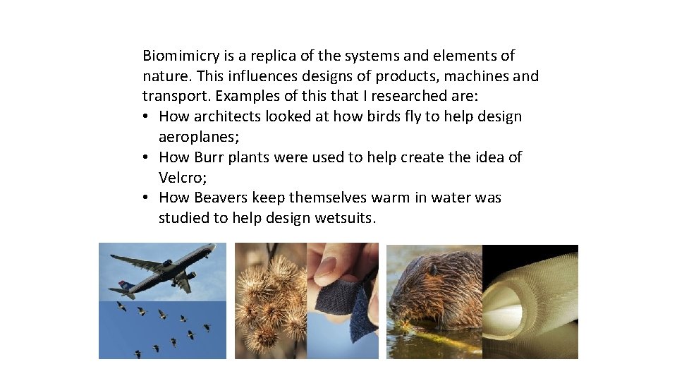 Biomimicry is a replica of the systems and elements of nature. This influences designs