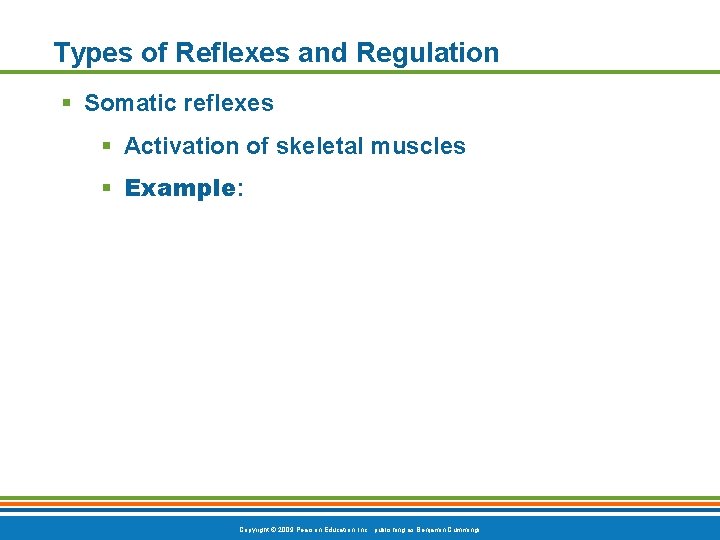 Types of Reflexes and Regulation § Somatic reflexes § Activation of skeletal muscles §