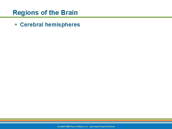 Regions of the Brain § Cerebral hemispheres Copyright © 2009 Pearson Education, Inc. ,