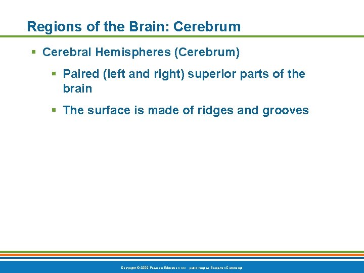 Regions of the Brain: Cerebrum § Cerebral Hemispheres (Cerebrum) § Paired (left and right)