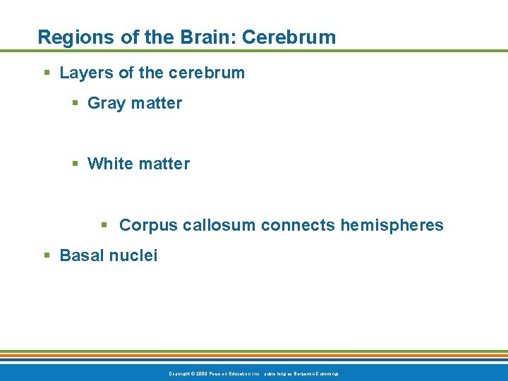 Regions of the Brain: Cerebrum § Layers of the cerebrum § Gray matter §