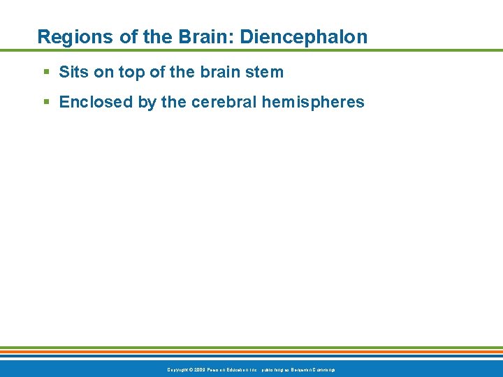 Regions of the Brain: Diencephalon § Sits on top of the brain stem §