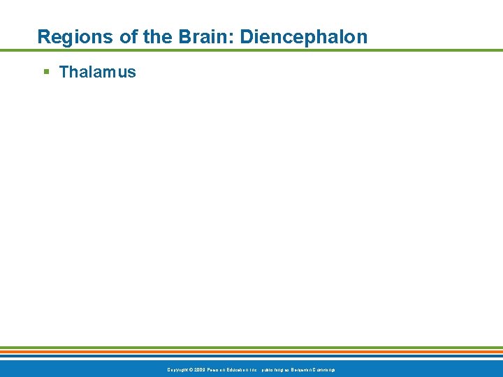 Regions of the Brain: Diencephalon § Thalamus Copyright © 2009 Pearson Education, Inc. ,