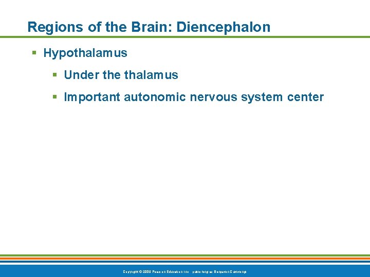 Regions of the Brain: Diencephalon § Hypothalamus § Under the thalamus § Important autonomic